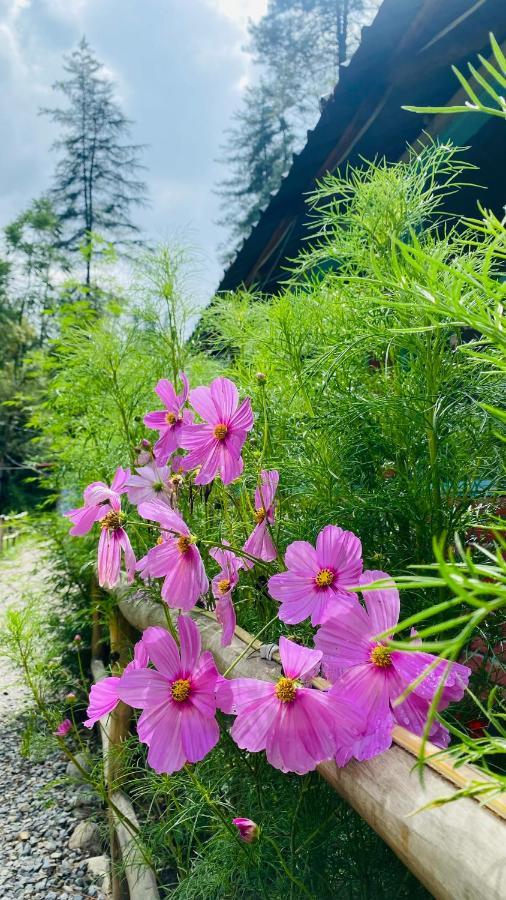 Himtrek Riverside Camps, Kasol Exteriör bild