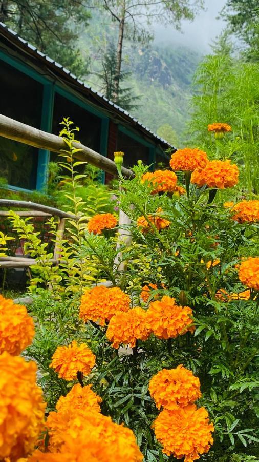 Himtrek Riverside Camps, Kasol Exteriör bild