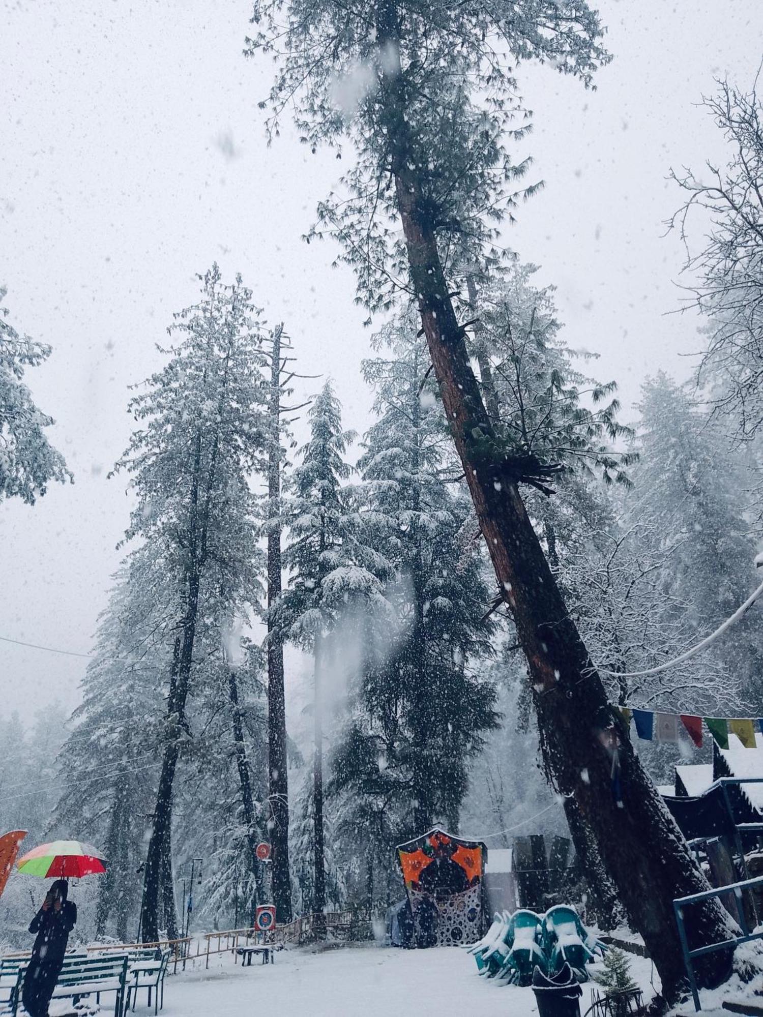 Himtrek Riverside Camps, Kasol Exteriör bild
